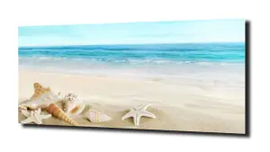 obraz na szkle Rozgwiazdy i muszle 