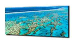 obraz na szkle Rafa koralowa plaża 