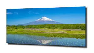 obraz na szkle Azjatycki krajobraz 