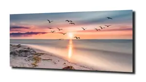obraz na szkle Plaża ptaki zachód  