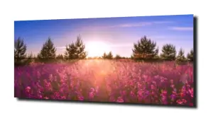 obraz na szkle Łąka kwiaty natura  