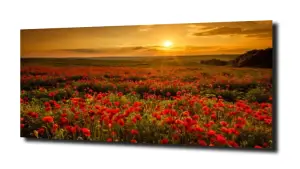 obraz na szkle Zachód słońca łąka  