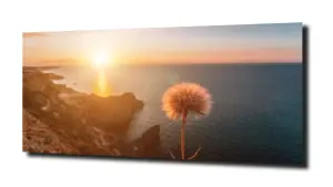 obraz na szkle Morze kwiaty zachód 
