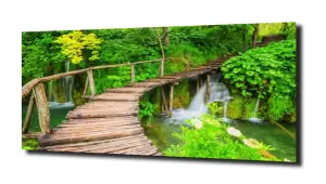 obraz na szkle Most nad wodospadem 