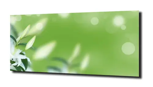 3cc3e2eb3b063a6748e1a8b8ea79ca45