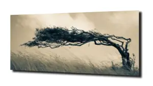 obraz na szkle Drzewo wiatr natura 