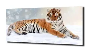 obraz na szkle Tygrys śnieg natura 