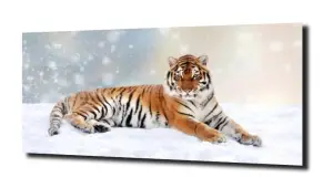 obraz na szkle Tygrys śnieg natura 