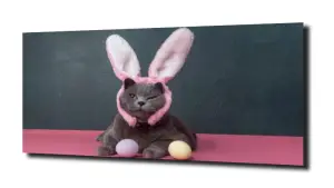 obraz na szkle Kot królik śmieszny 