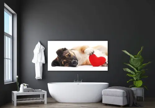 add6d0a5cb2f01d252c737be79b7146c