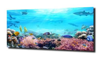 obraz na szkle Ocean ryby kolorowe 