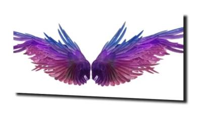 obraz na szkle Skrzydła fioletowe  