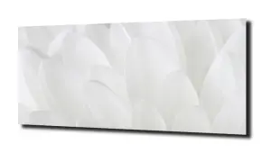 obraz na szkle Płatki chryzantemy 