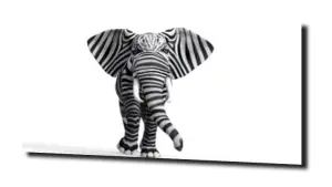 obraz na szkle Słoń zebra zwierzę 