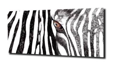obraz na szkle Zebra rysunek oczy 