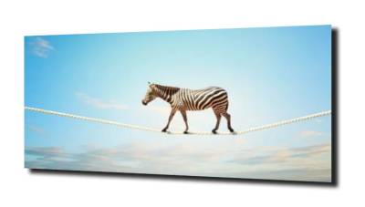 obraz na szkle Zebra niebo spacer 