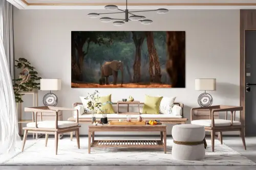 1babc0b3652205a8693b677721a4c2af