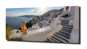 obraz na szkle Kot, kotek, Grecja 