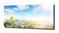 877a22e3a62fdd1c58b7b5b95b2f9251