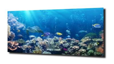 obraz na szkle Ocean ryby rosliny 