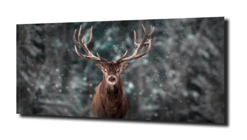 02de6eca3f48528b197a020acc589526