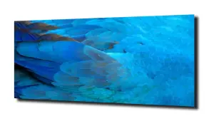 obraz na szkle Egzotyczna papuga 