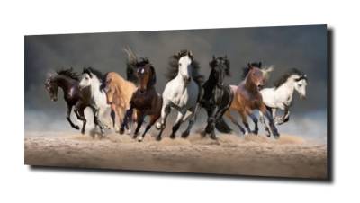 obraz na szkle Konie galop niebo 