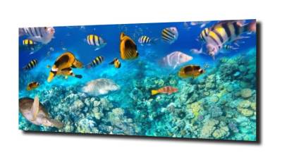 obraz na szkle Natura ocean ryby 
