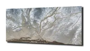 obraz na szkle Ekspresja drzewo  