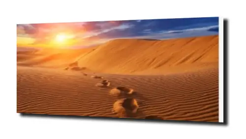 9c3ee9cd6987294891d0f76d174df488