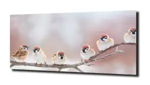 obraz na szkle Wróble na gałęzi 