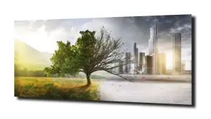 obraz na szkle Miasto vs natura 