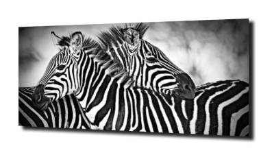 obraz na szkle Zebra zebry para 