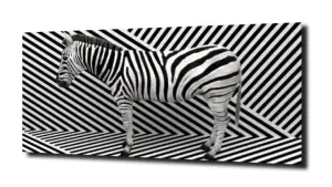 obraz na szkle Zebra paski tło  