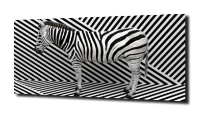obraz na szkle Zebra paski tło  