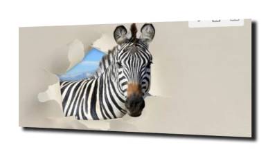 obraz na szkle Zebra zwierzęta  
