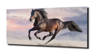 obraz na szkle Galop koń natura 