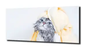 obraz na szkle Kot kotek kąpiel 