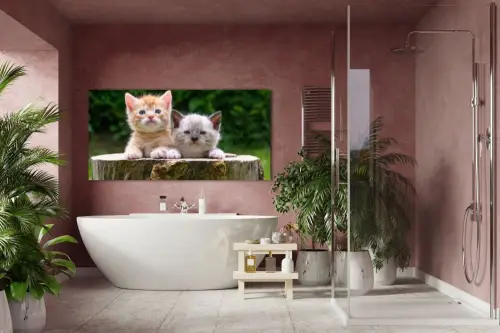 7d17d742ce1d6c47e4d99cb9add0c887