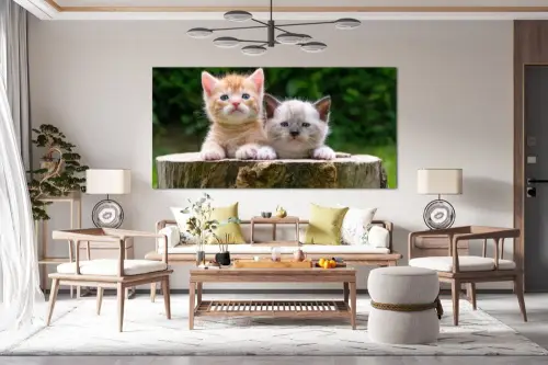 17277008b26b5e45cea878372c5199f4