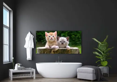 c70d28abeb06c3c800a6c9d1f58583aa