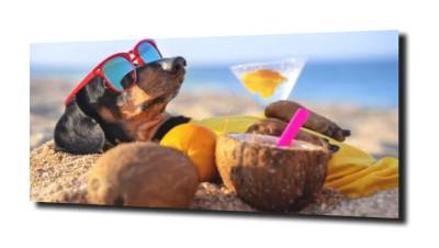 obraz na szkle Pies drink plaża 