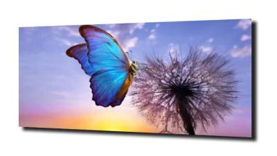obraz na szkle Dmuchawiec motyl 