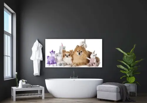 81c9ef4b5f72c08c93e2cf79538b7c75