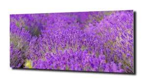 obraz na szkle Lawenda na polu 