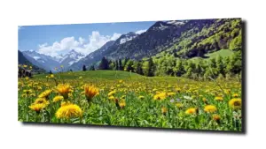 obraz na szkle Alpejska łączka 