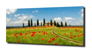 obraz na szkle Łąka w Toskanii 