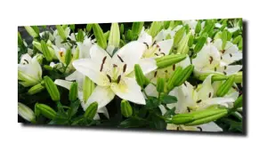 obraz na szkle Lilie wodne  49 