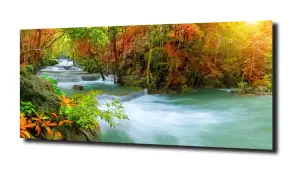 obraz na szkle Zioła Przyprawy 