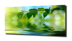 obraz na szkle Liście nad wodą 